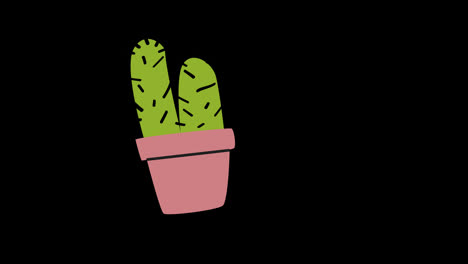 Planta-De-Cactus-Con-Icono-De-Maceta-Animación-En-Bucle-Vídeo-Fondo-Transparente-Con-Canal-Alfa.